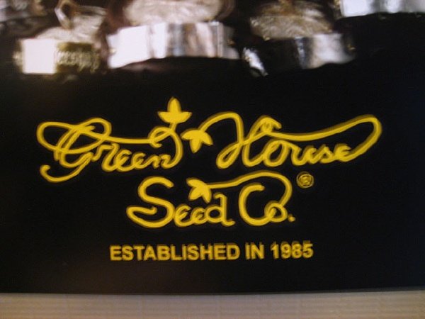 画像2: Green House Seed社オフィシャルポスター【アーリアン社長】 (2)