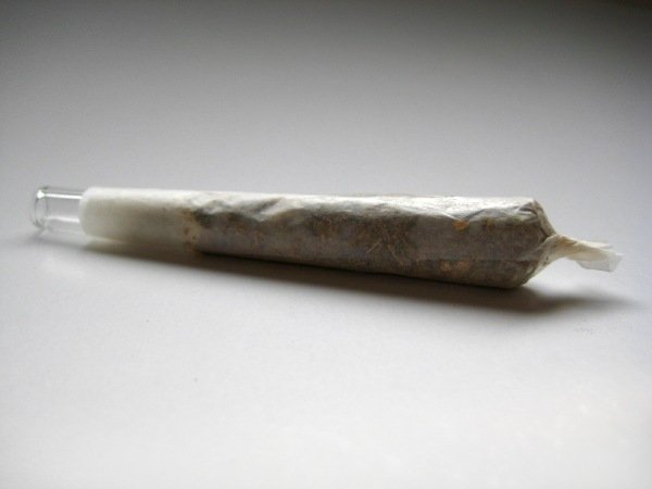 画像4: GLASS TIPS (4)